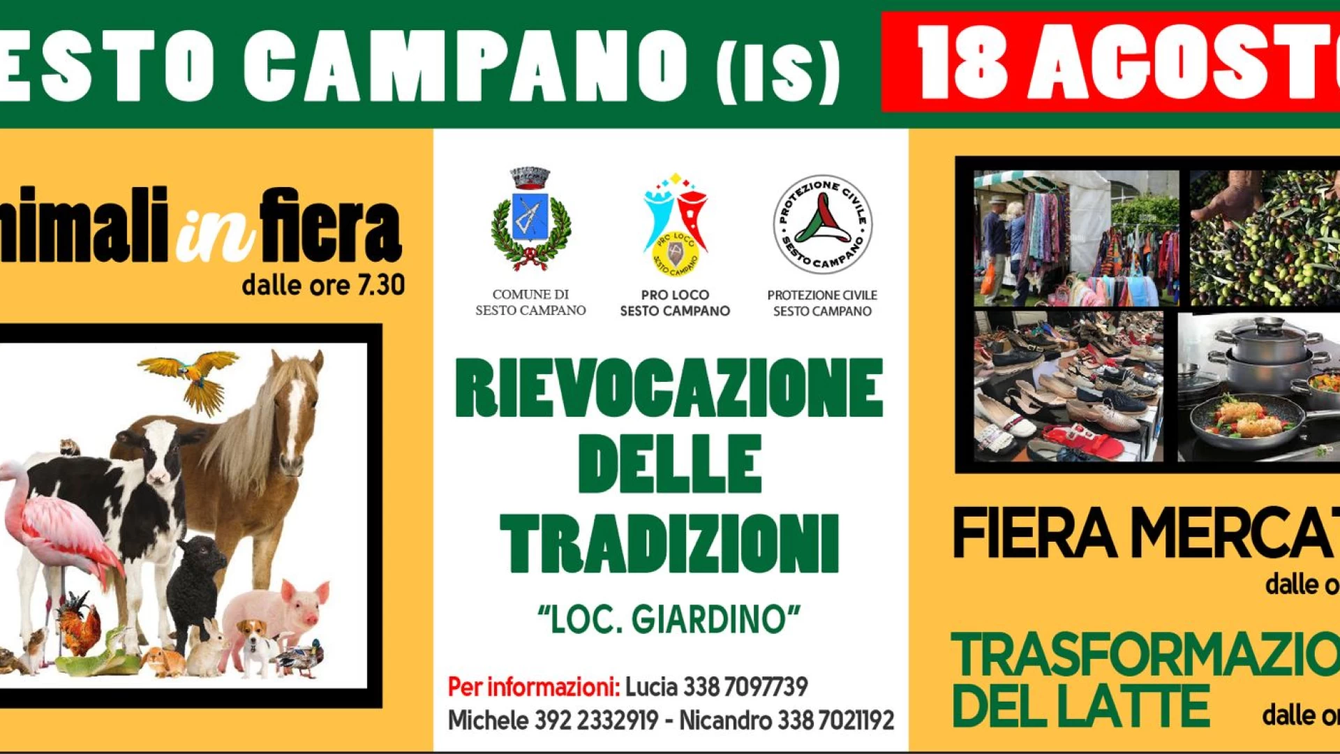 Sesto Campano, domenica 18 agosto torna ‘Animali in fiera’, esposizione che richiama allevatori e artigiani anche da fuori regione.